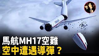 【MH17空難】馬航MH17航班空難真相，飛機被導彈擊中，誰是最後的元兇呢？史上第七大空難