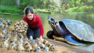 Harvesting BaBa Turtle & Eggs Goes to Market Sell - Working hard for a living | Ella Daily Life