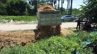 Wonderful New activity Land filling process Land filling process By Dump Truck With MITSUBISHI Dozer