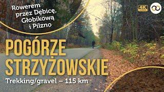 Pogórze Strzyżowskie – rowerowa pętla (trekking/gravel) – 115 km