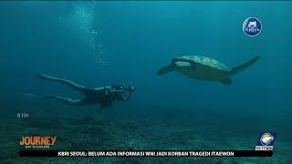 Menyelam Sambil Menikmati Panorama Bawah Laut di Gili Trawangan