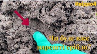 Пригоди вихідного дня продовжуються.Гуляєм, копаєм, насолоджуємося лісом та смачно їмо