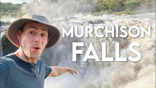 Uganda Safari VLOG - Murchison Falls, Ziwa Rhino Sanctuary, Entebbe