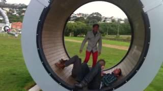 The best Hamster Wheel Fails in 2016