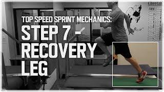 Simple Speed Coach | Top Speed SPRINT MECHANICS - (Step 7: RECOVERY LEG)
