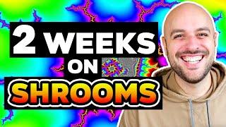 Microdosing MAGIC Mushrooms (Psilocybin): My 2-Week Psychedelic Update | The Good AND The Bad!