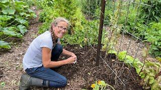 Clearing and Planting in my Permaculture Vegetable Garden