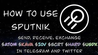 How to use Sputnik