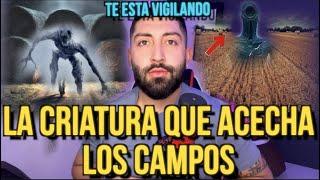 LA CRIATURA QUE ACECHA EN LOS CAMPOS (Ten cuidado si la ves)