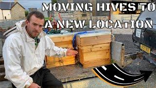 Moving Beehives To A New Location. Transporting Hives