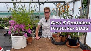 My Top 5 Container Plants!