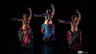 WildCard BellyDance Collective at Stardust Follies 2019