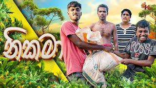 නිකමා | NIKAMA | KDJ PRODUCTIONS