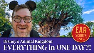 Can You Do EVERYTHING at Animal Kingdom in ONE DAY?!