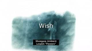 [FREE] Guitar Loopkit Shoegaze/Ambient/Deftones "Flowers" (Quannnic/Wisp/Superheaven Loopkit)