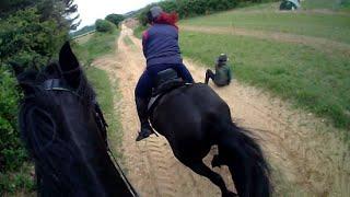 PIGS! It is a frightening experience if you're on a bolting horse, make no mistake about that.