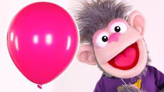 Pink Balloon Goes Pop + More | Colors Songs ABCs 123s Nursery Rhymes by Busy Beavers