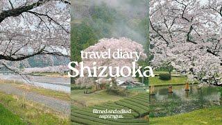 travel diary | Shizuoka  Mizume-zakura, Ieyamagawa Ryokichi Park, Hamamatsu Flower Park & Castle