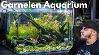 Nano Aquarium einrichten! Dennerle Nano Tank 35L