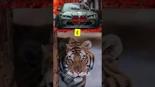 New Shorts Video #edit #car #animals #automobile #trending #viralvideo #shorts #tiktok #jblremix_1