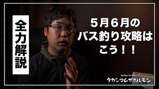 特に6月アフタースポーン期の釣りは絶対こう組んだほうがいい【6月バス釣り】