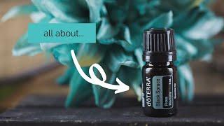 how to use black spruce | All About Black Spruce Essential Oil