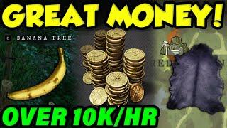 THESE NEW WORLD MONEY MAKING METHODS STILL WORK! 100K Coin A Day In The New World Expansion!