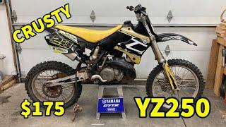 $175 Yamaha YZ250 Teardown!