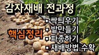 감자재배 전과정 30분 완성 핵심정리