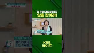 한국인 사망원인 1위, 암을 잡아라! 암 유발 대표 원인은? [무엇이든 물어보세요] | KBS 방송