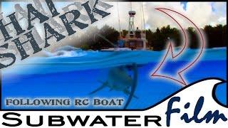 Cool DIY | SHARK hunts RC Model - easy to build, fun to watch!