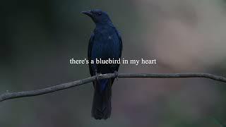 Bluebird by Charles Bukowski