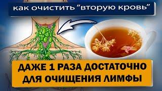 Как очистить ЛИМФУ 1-й заваркой: ушли отеки и вес, вернулась энергия и даже память ...