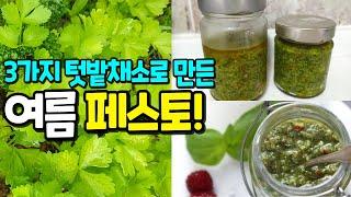 맛과 영양을 꽉 잡은 여름 페스토텃밭재료로 쉽게 만드는 3가지 맛 페스토!