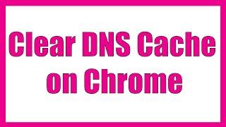 Clear or flush DNS Cache on Chrome