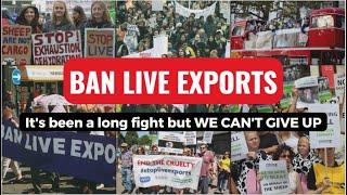 Ban Live Exports. FULL STOP.