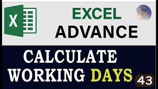 Excel NETWORKDAYS Function & NETWORKDAYS.INTL Formula,  Calculate Working Days In MS Excel 2020