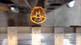 A-SAFE | RackGuard Vehicle Testing