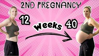 #64. PREGNANCY TRANSFORMATION | Bi-Weekly Progress | 12 - 40 Weeks + 1 Week Post | Second Pregnancy