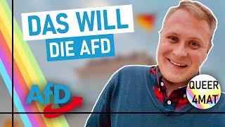 Schwuler stellt AfD Politiker unangenehme Fragen I Queer4mat