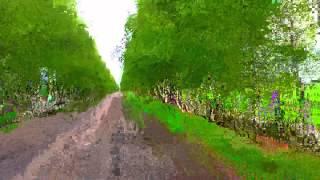 STEADISONYCAM -2015-2020...