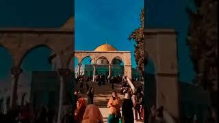 ahwarun ahwarun status | #shorts #islam #islamic #freepalestine #alaqsa #islamicstatus #alquds