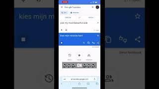 Google translate “Pick my most beautiful side” in Dutch  What a surprise