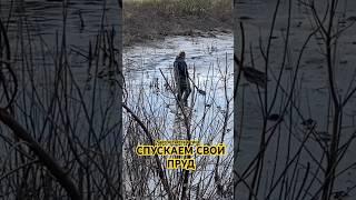 СПУСКАЕМ СВОЙ ПРУД #рыбалка #fishing #рыборазведение #рыбхоз #рыбаки #охотарыбалка #карп #нарыбалке