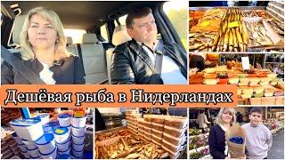 Рыбный Рынок в Нидерландах / Самая Вкусная Селёдка и Сыр / Эншеде Голландия /