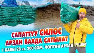 Мал жандыкка АРЗАН жана сапаттуу СИЛОС сатыкка чыкты ~ Чөптөн АРЗАН түшөт ~ Баасы 1 кг. 7 сомдон