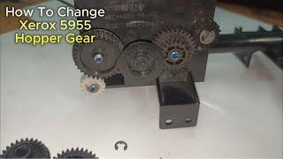 How to Change Xerox 5955 Hopper Gear #Xerox5955