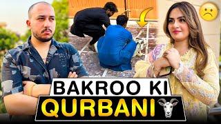 Bakray qurban kar diye| Eid pe begum emotional hogai