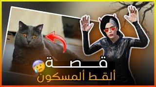 شاب يشتري قطة من الانترنت وينصدم بأحداث غريبة ‍⬛!!؟؟