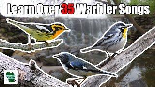 Learn 35+ Warblers Songs (Central and Eastern United States)